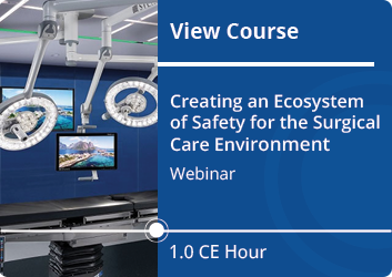 Link to Creating an Ecosystem of Safety for the Surgical Care Environment