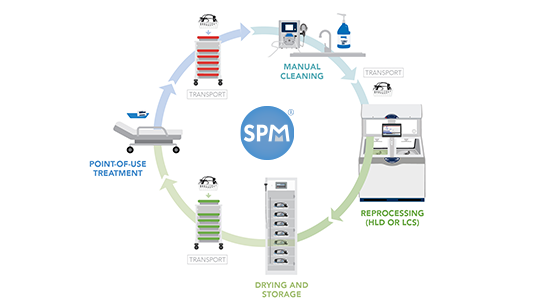SPM Endo Workflow Process